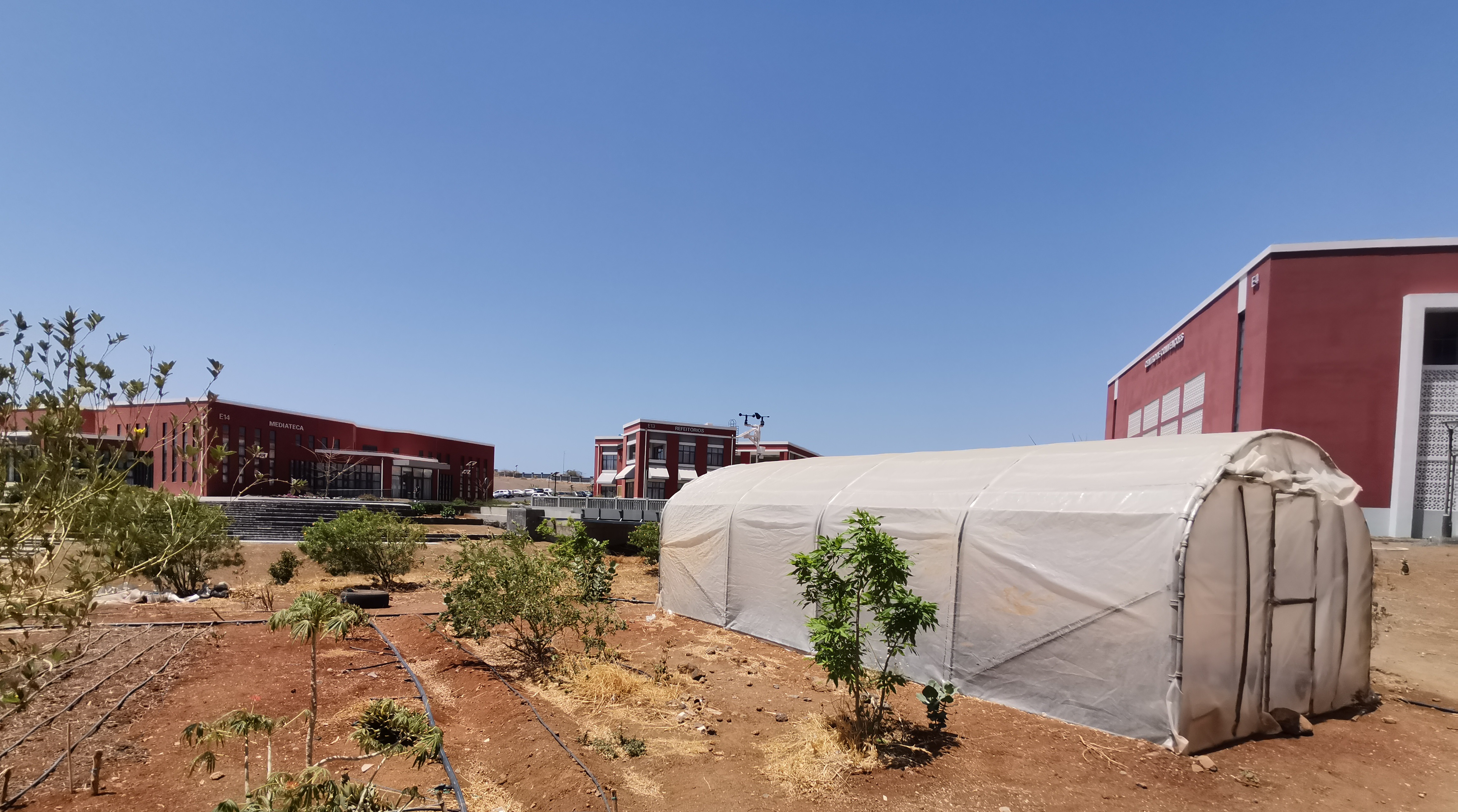 Low‑tech hydroponics at Cabo Verde University
