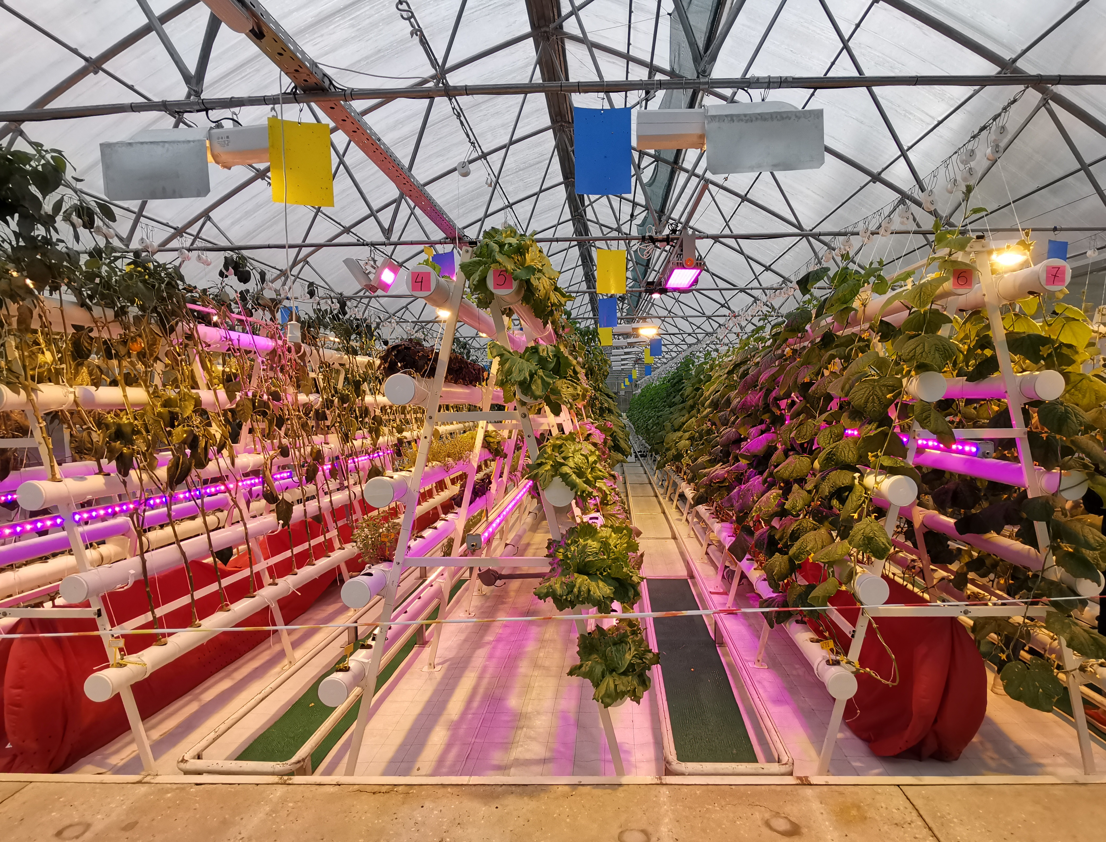 Multi-tier aeroponic vegetable canopy