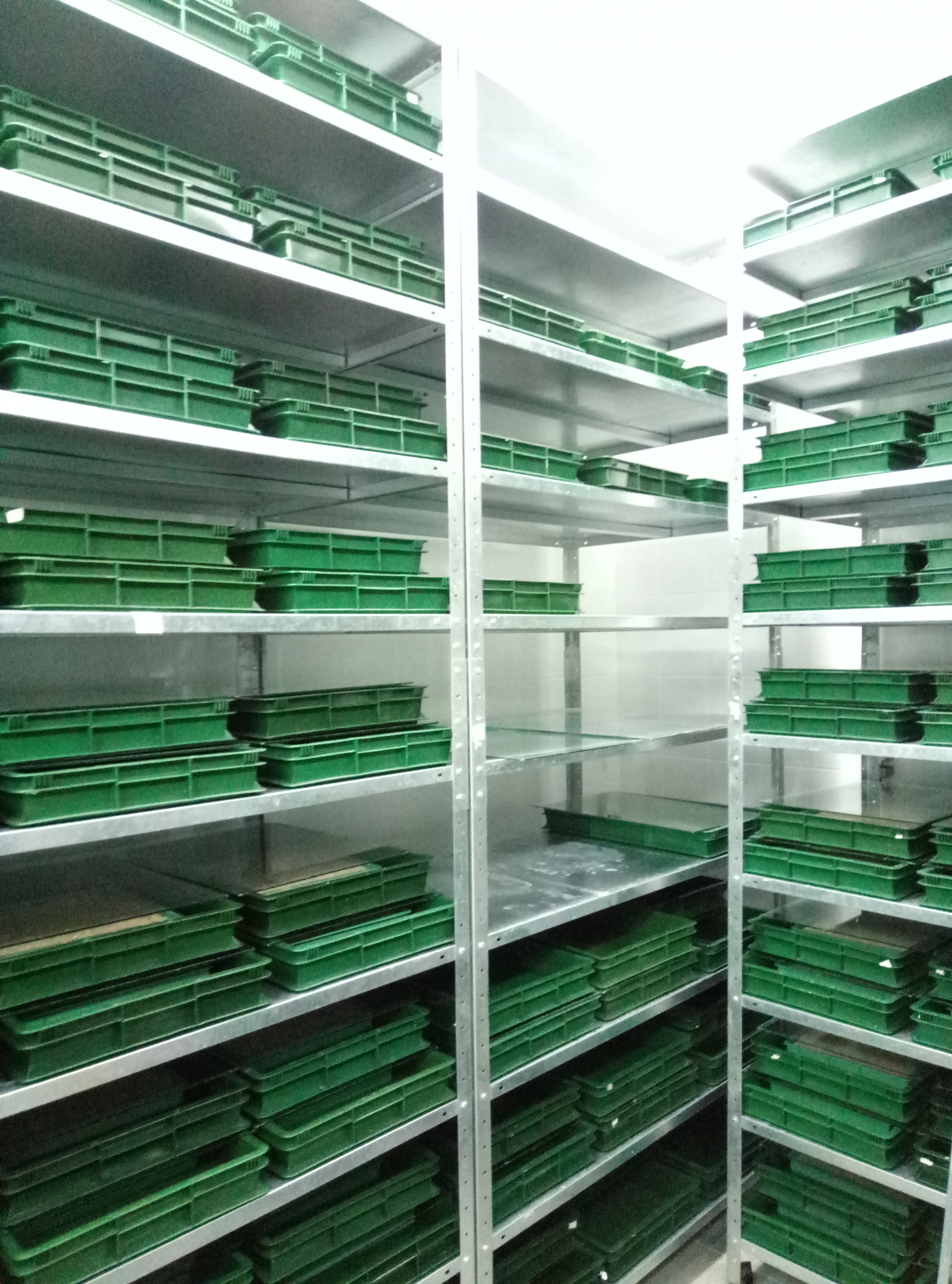 Insect breeding room