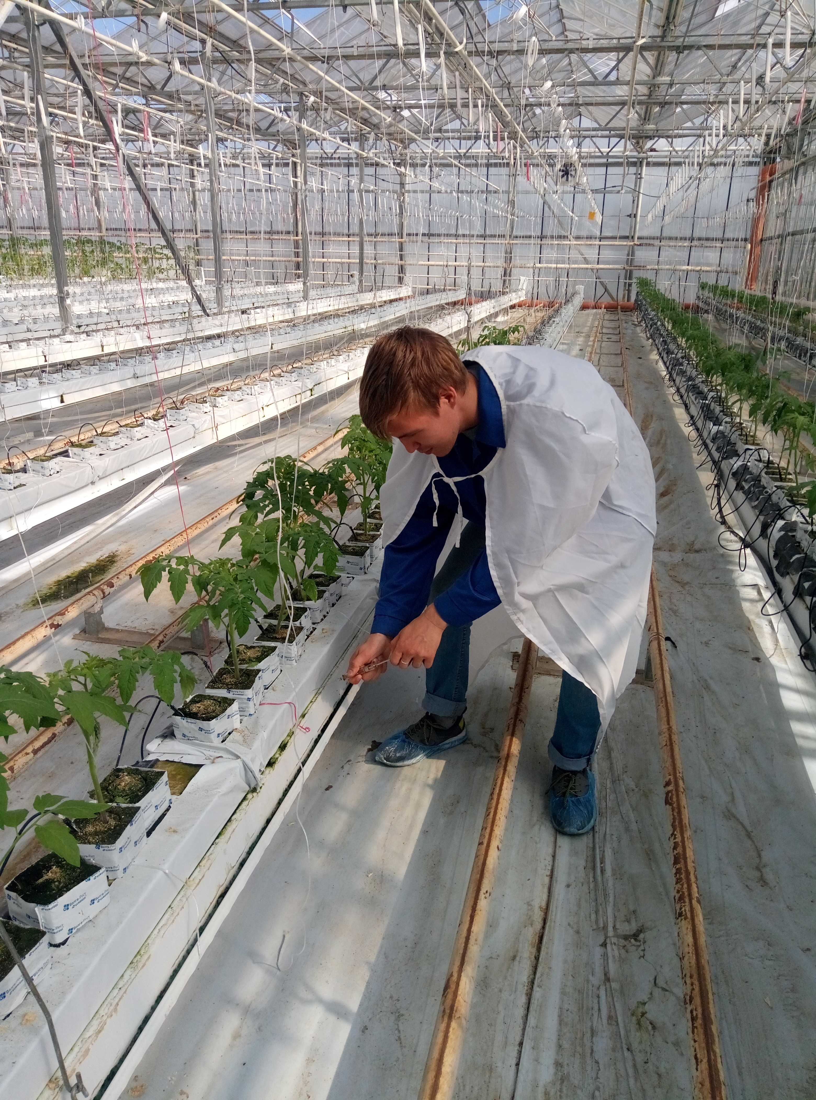 Sampling of nutrient solution