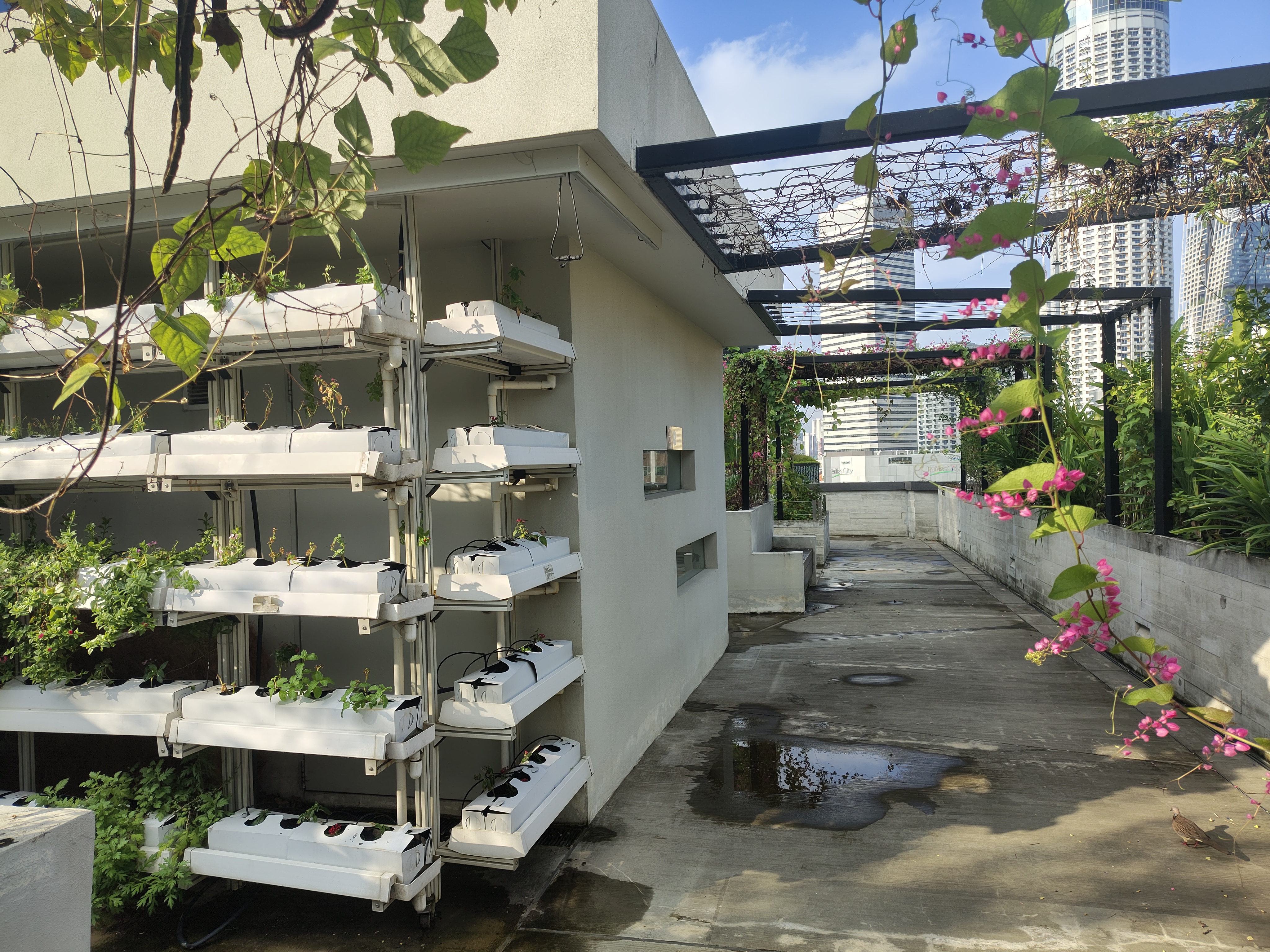 Rooftop vertical farm assessment
