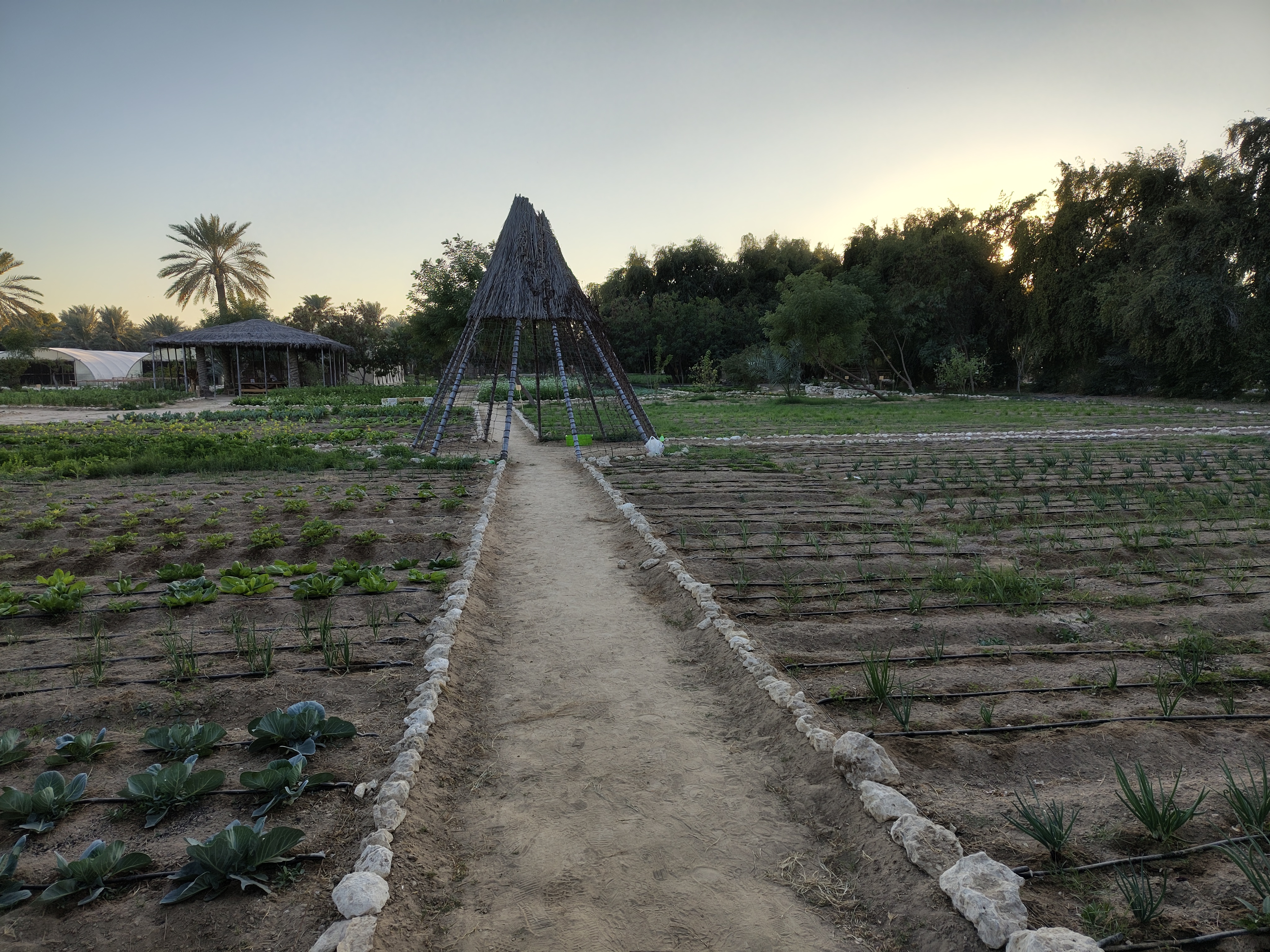 Émetteurs d’irrigation