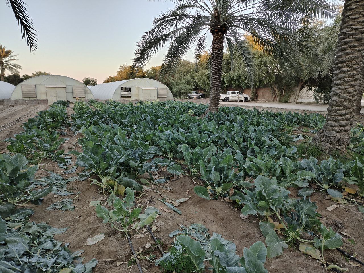 Zone de culture protégée et plein air