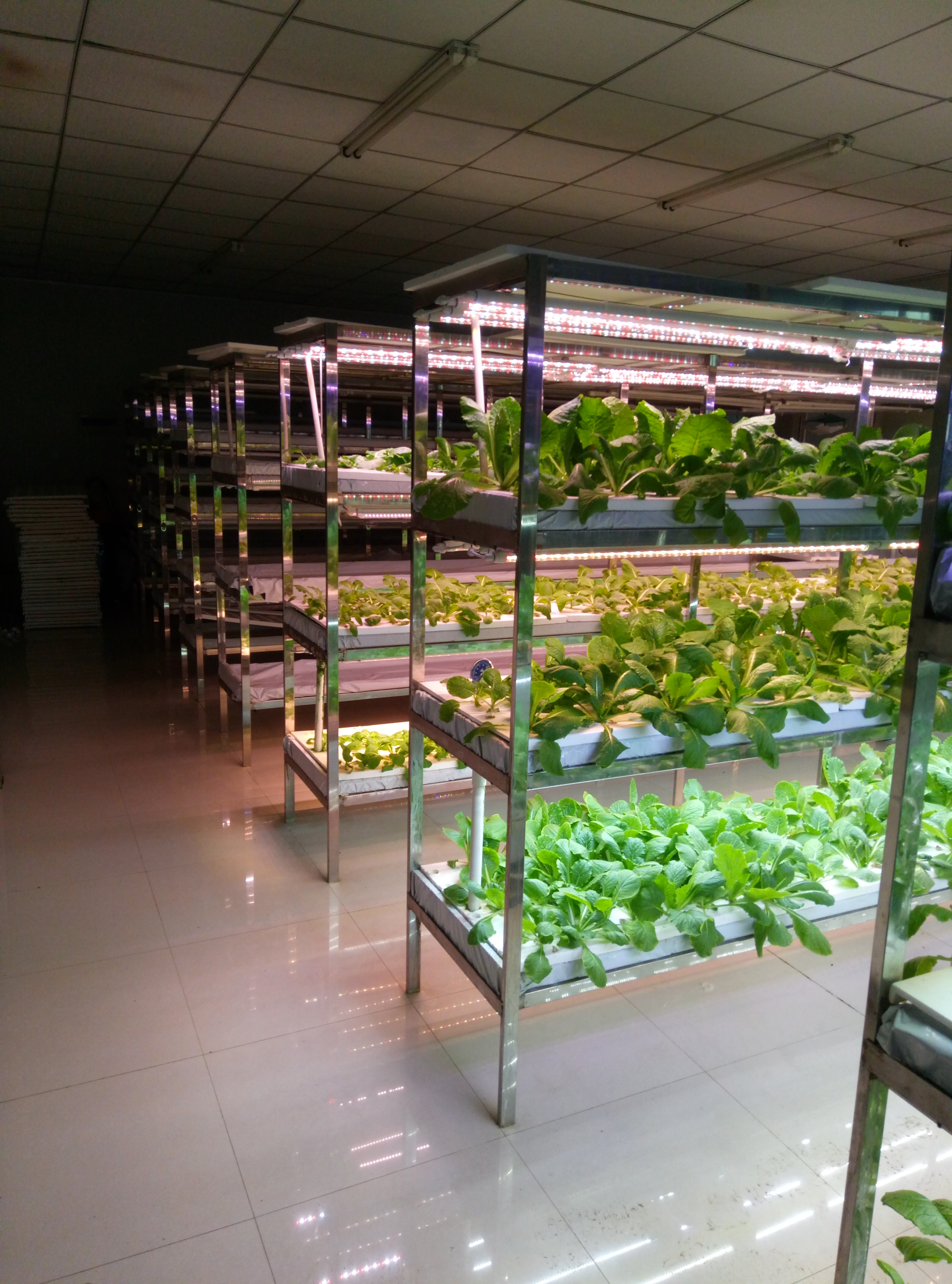 Testing different light modes