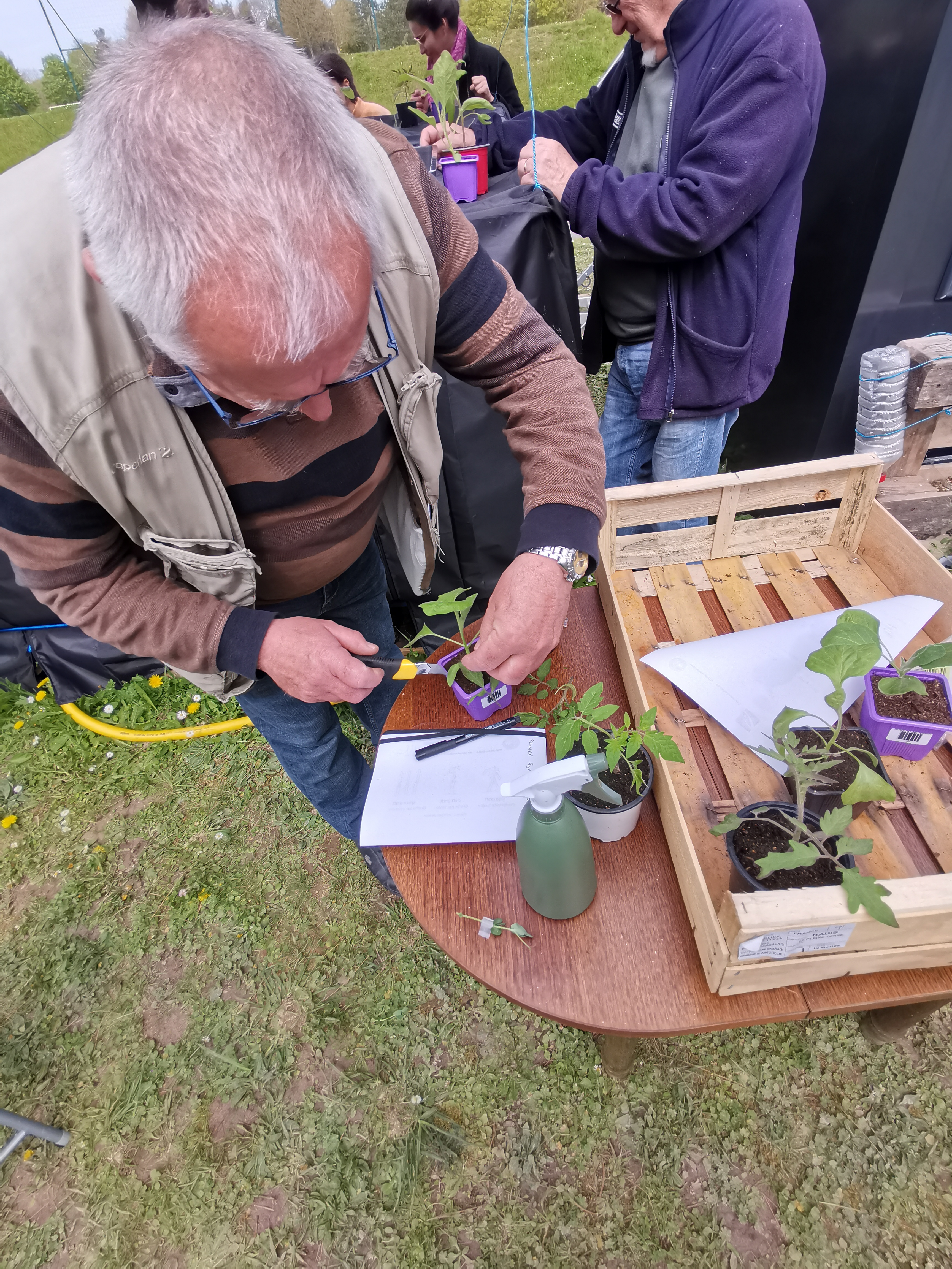 Deuxième groupe de participants