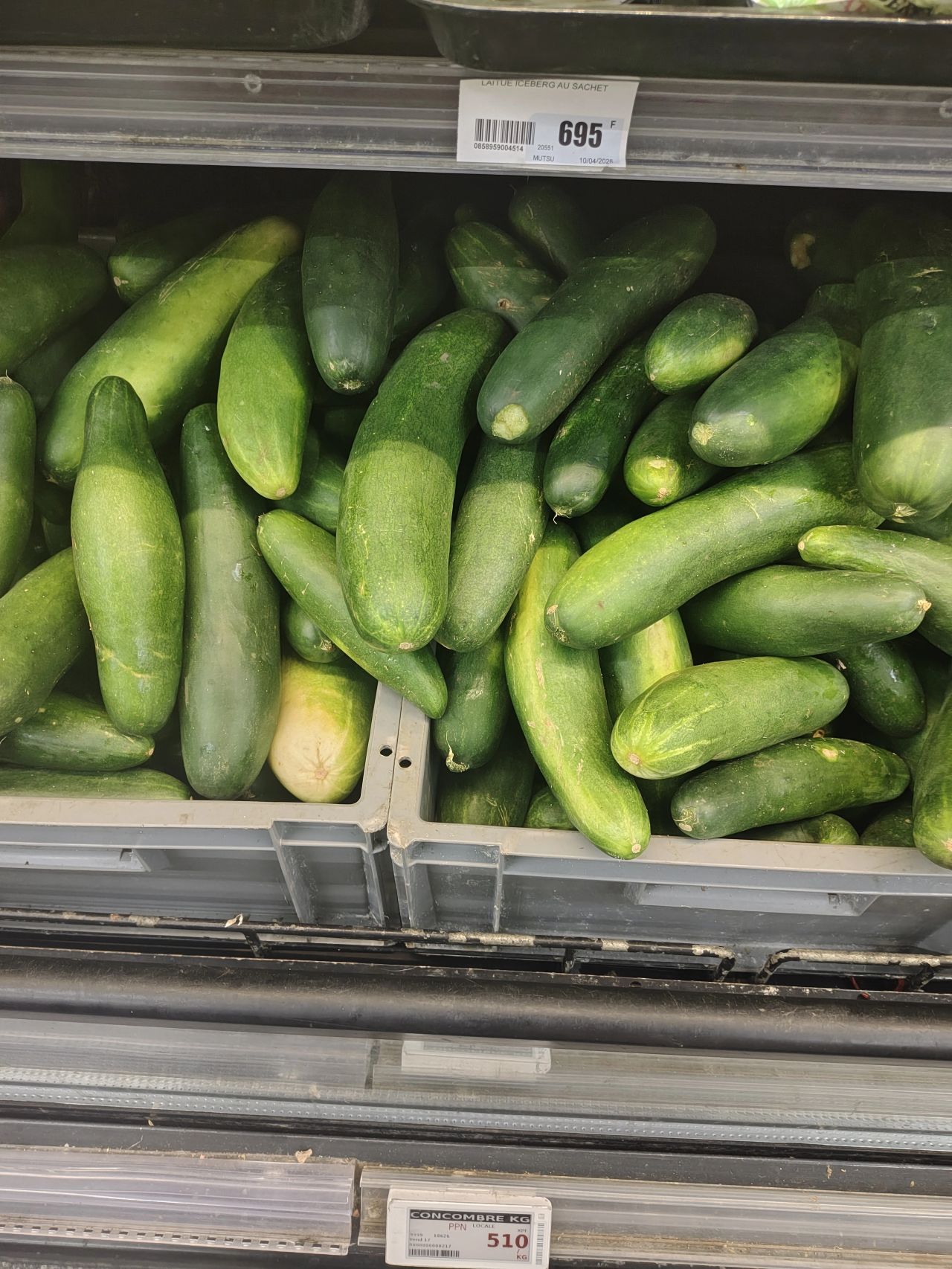 Concombres produits localement dans la ferme biologique de l’île de Moorea