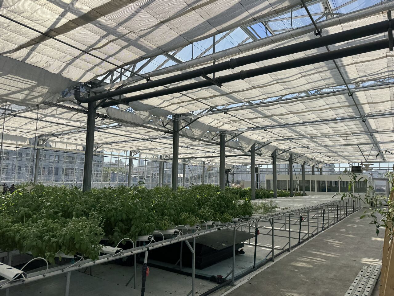 Greenhouse shading and protective screens for climate management at a rooftop farm