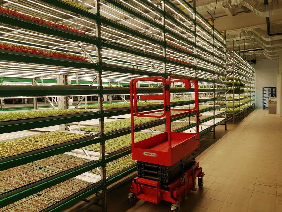 Grande ferme verticale d’herbes aromatiques