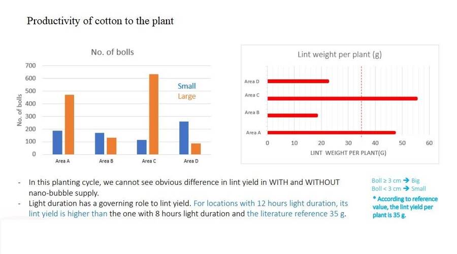 R&D sur coton en culture verticale