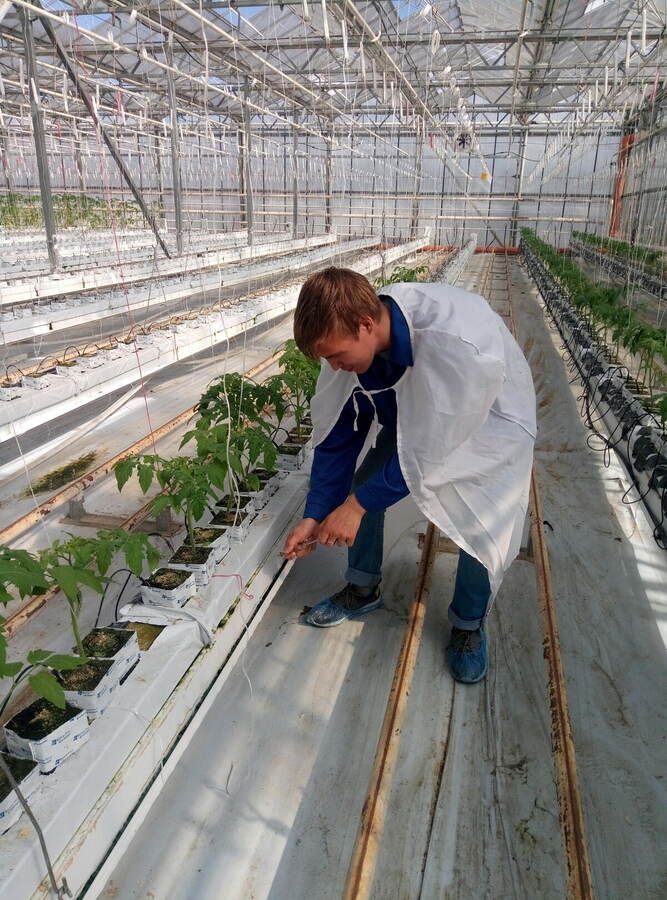 Échantillonnage de solution nutritive