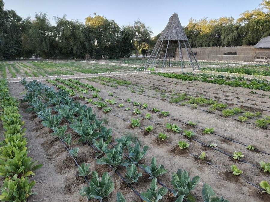 Zone de culture protégée et plein air
