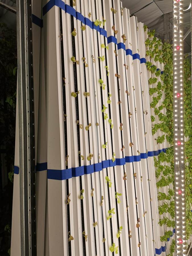 Rayonnages verticaux Citicrop