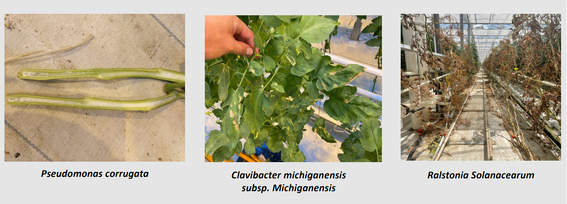 Nutrient dosing dashboard